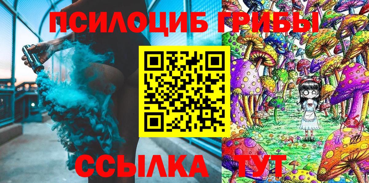 Псилоцибиновые грибы MAGIC MUSHROOMS  Вход с VPN  Калуга 